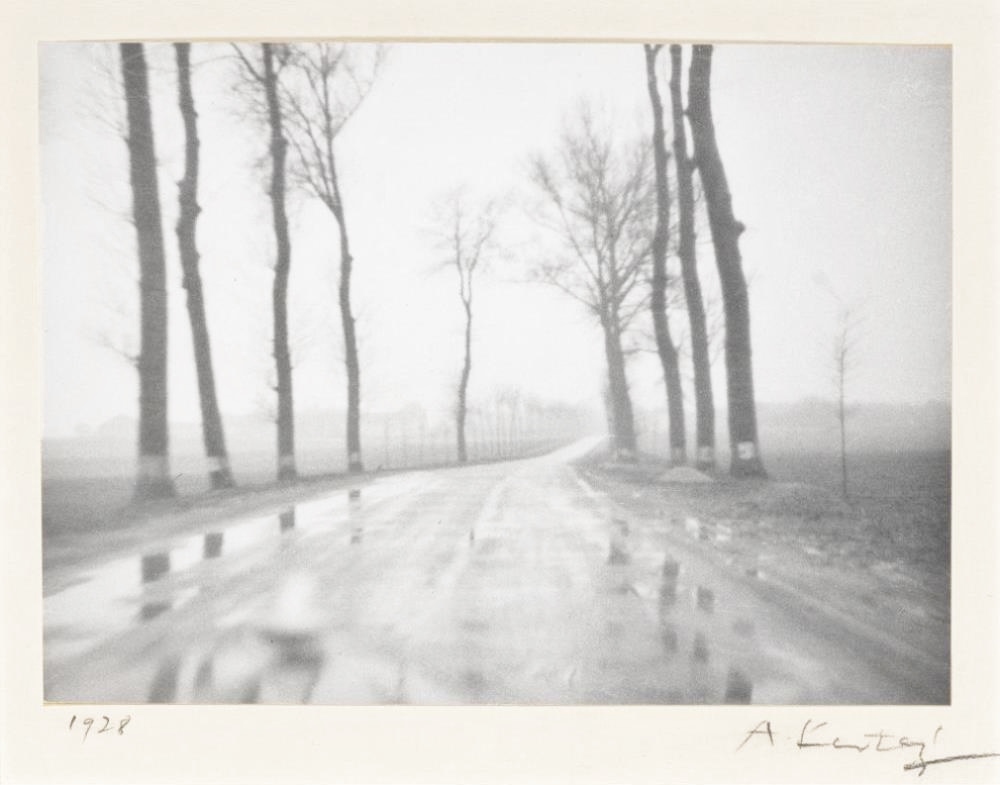 Foggy Belgian country road dated 1928.